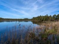 Blick über den großen Moorsee